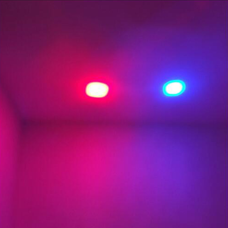 Customizable DV XRLL-10v 80v Blue Or Red Led Forklift Light Safety 6W Blue Spot Light OEM Customizable DV XRLL-10v 80v Blue Or Red Led Forklift Light Safety 6W Blue Spot Light OEM