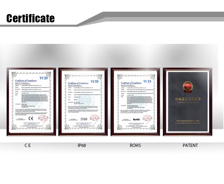10-110v DC LED Spot Reversing Forklift Blue Safety Light With Flashing