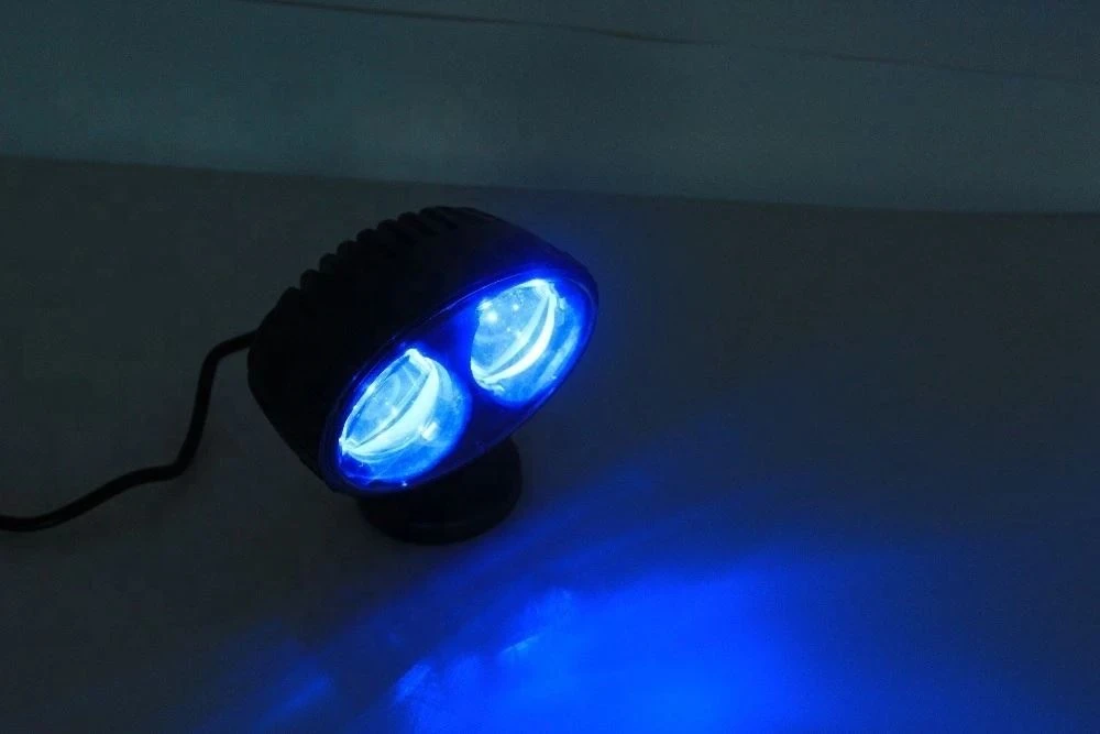 Forklift Blue Arrow Shape Warning Lights wholesale